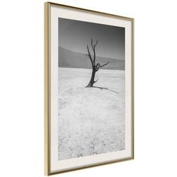 Arkiio Affisch Tree in the Desert [Poster] 30x45 Poster